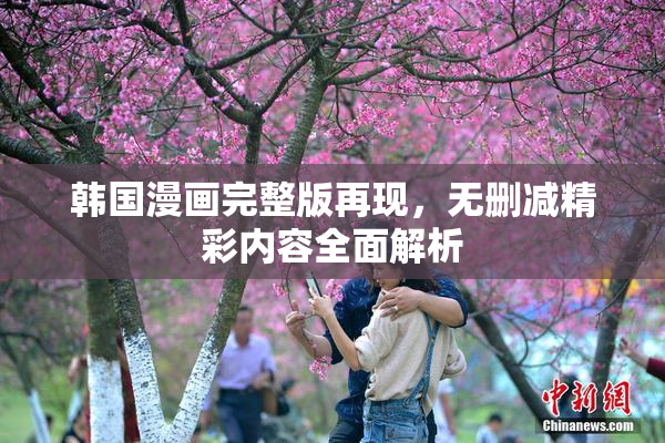 韩国漫画完整版再现，无删减精彩内容全面解析