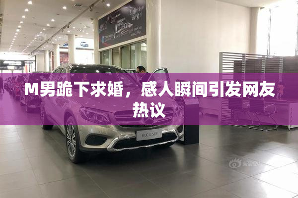 M男跪下求婚，感人瞬间引发网友热议