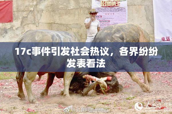 17c事件引发社会热议，各界纷纷发表看法