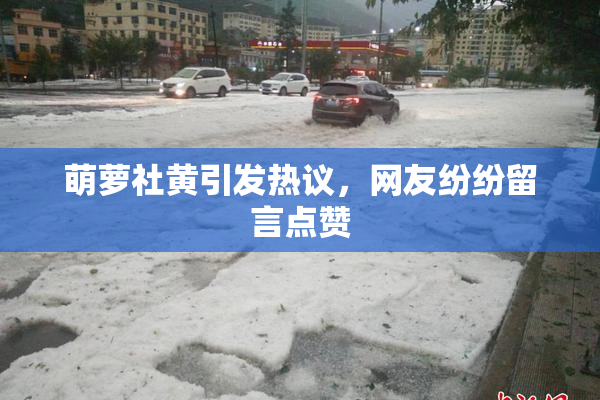 萌萝社黄引发热议，网友纷纷留言点赞