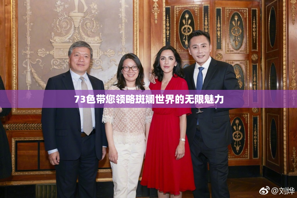 73色带您领略斑斓世界的无限魅力