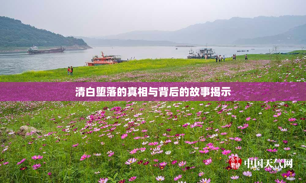清白堕落的真相与背后的故事揭示