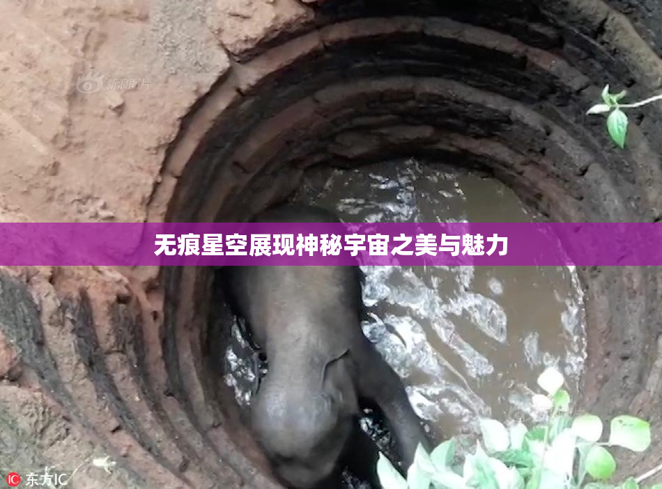 无痕星空展现神秘宇宙之美与魅力