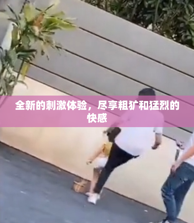 全新的刺激体验，尽享粗犷和猛烈的快感