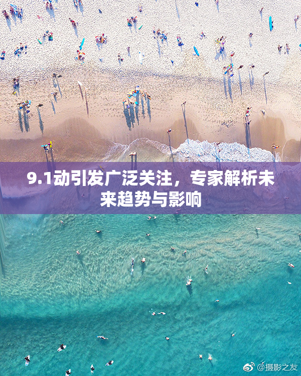 9.1动引发广泛关注，专家解析未来趋势与影响