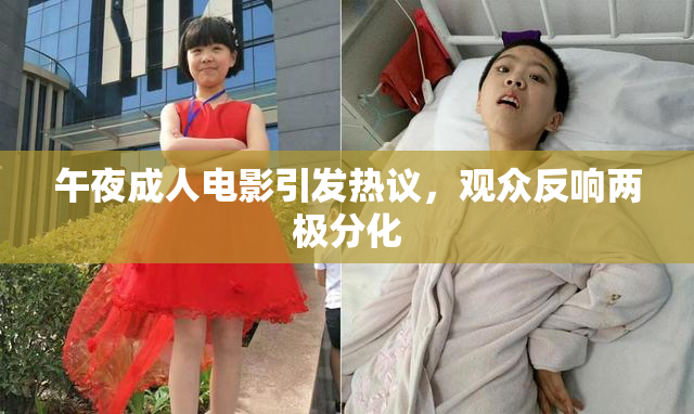 午夜成人电影引发热议，观众反响两极分化