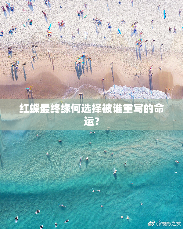 红蝶最终缘何选择被谁重写的命运？