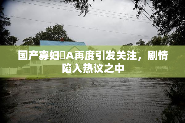 国产寡妇婬A再度引发关注，剧情陷入热议之中
