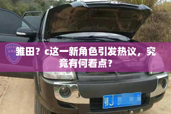 雏田？c这一新角色引发热议，究竟有何看点？