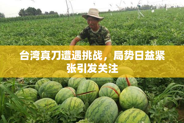 台湾真刀遭遇挑战，局势日益紧张引发关注