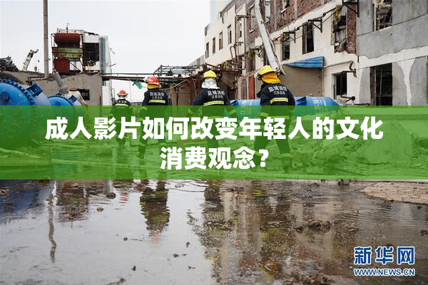 成人影片如何改变年轻人的文化消费观念？