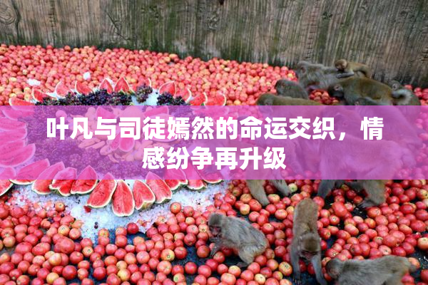 叶凡与司徒嫣然的命运交织，情感纷争再升级