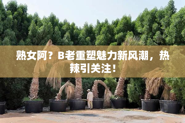 熟女阿？B老重塑魅力新风潮，热辣引关注！