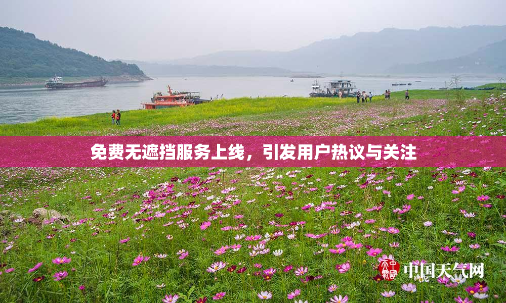 免费无遮挡服务上线，引发用户热议与关注