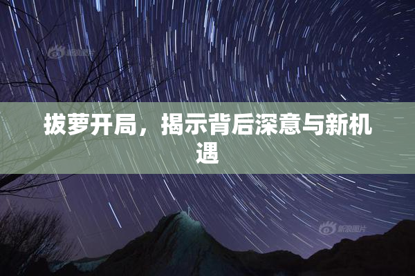 拔萝开局，揭示背后深意与新机遇