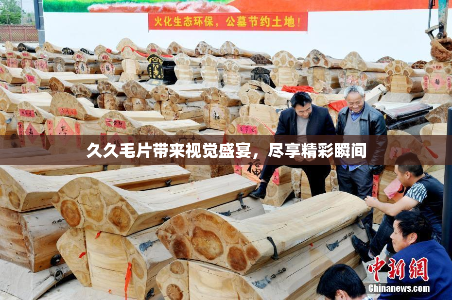 久久毛片带来视觉盛宴，尽享精彩瞬间