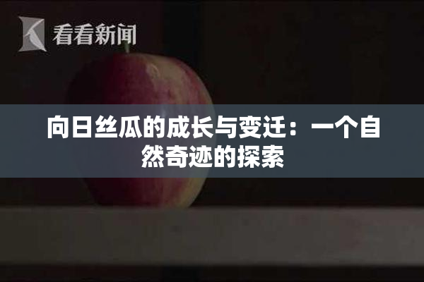 向日丝瓜的成长与变迁：一个自然奇迹的探索