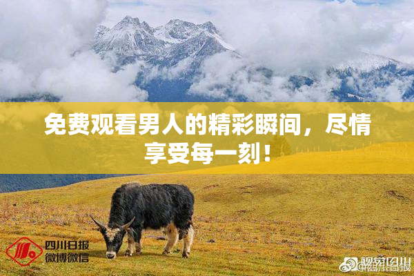 免费观看男人的精彩瞬间，尽情享受每一刻！