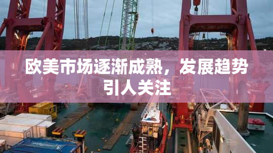 欧美市场逐渐成熟，发展趋势引人关注