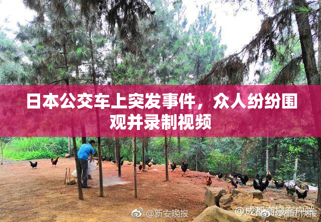 日本公交车上突发事件，众人纷纷围观并录制视频