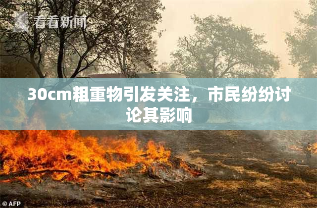 30cm粗重物引发关注，市民纷纷讨论其影响