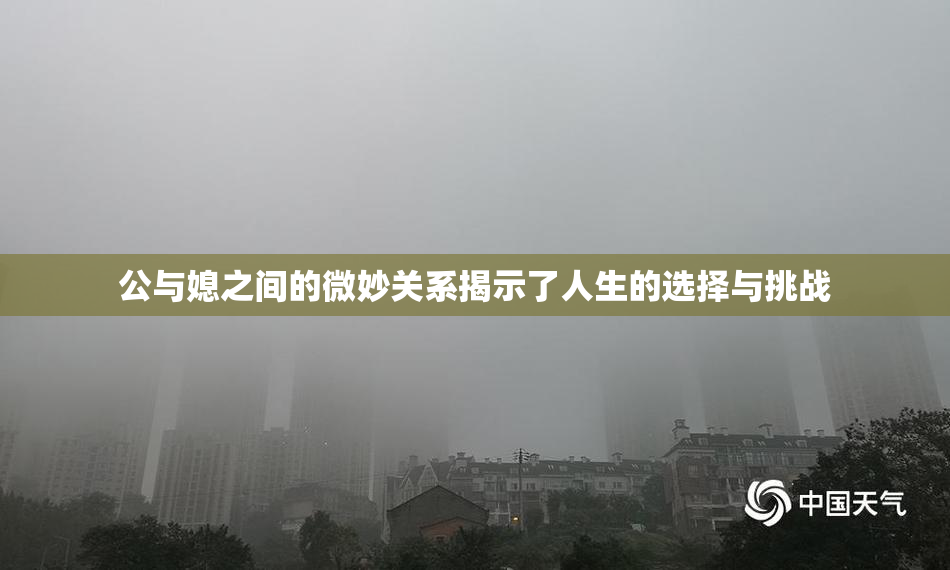 公与媳之间的微妙关系揭示了人生的选择与挑战