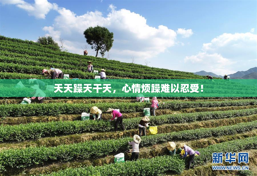 天天躁天干天，心情烦躁难以忍受！