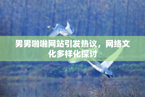 男男啪啪网站引发热议，网络文化多样化探讨