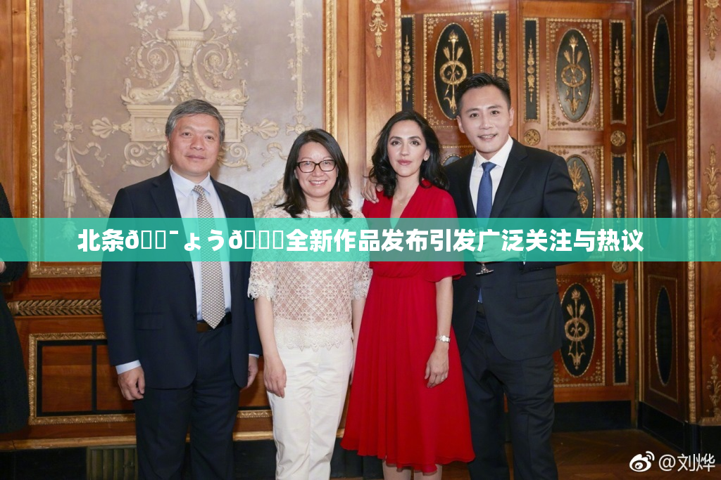 北条🔯ょう🍓全新作品发布引发广泛关注与热议