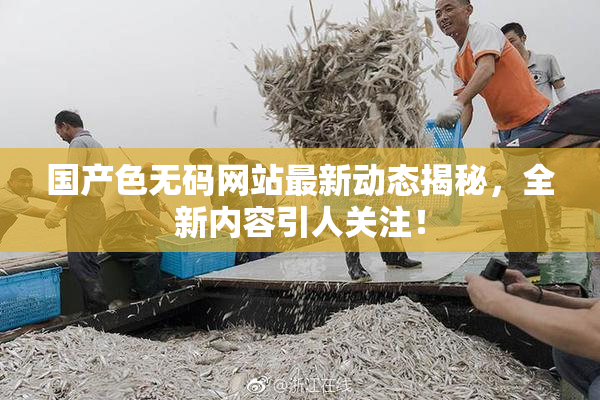 国产色无码网站最新动态揭秘，全新内容引人关注！