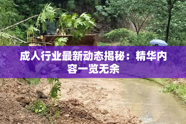成人行业最新动态揭秘：精华内容一览无余