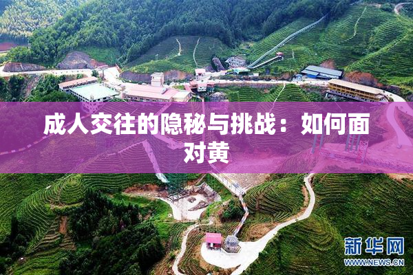 成人交往的隐秘与挑战：如何面对黄