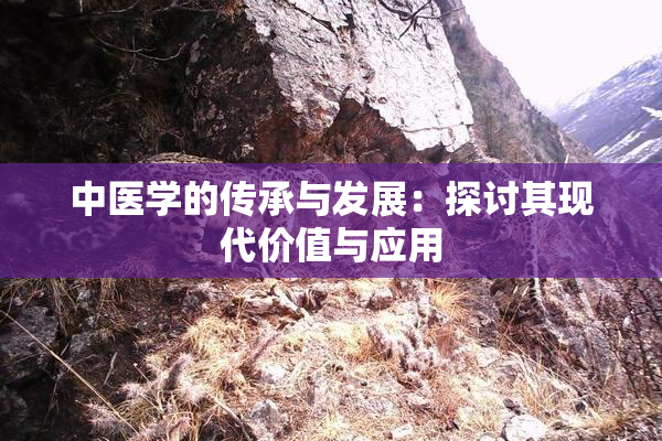 中医学的传承与发展：探讨其现代价值与应用