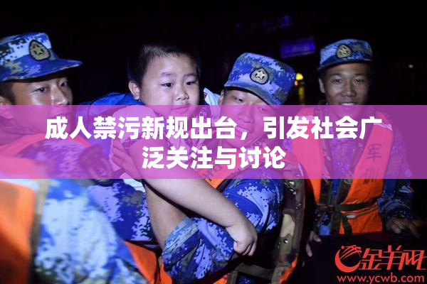 成人禁污新规出台，引发社会广泛关注与讨论