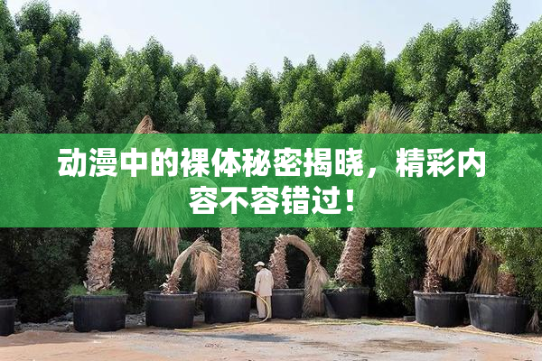 动漫中的裸体秘密揭晓，精彩内容不容错过！