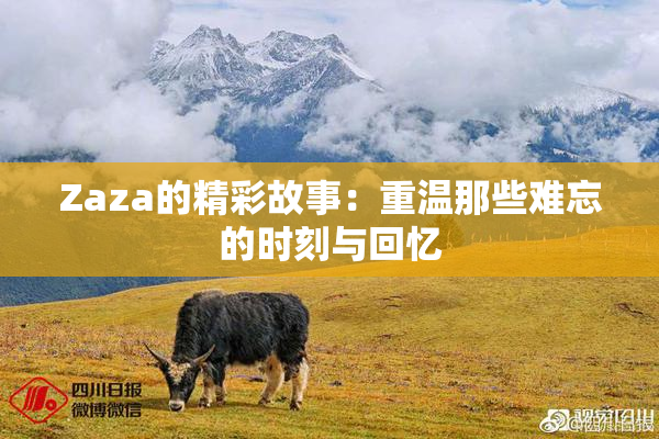 Zaza的精彩故事：重温那些难忘的时刻与回忆