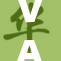 VAM国最新动态引发广泛关注，专家解析背后意义