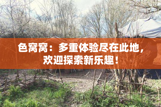 色窝窝：多重体验尽在此地，欢迎探索新乐趣！
