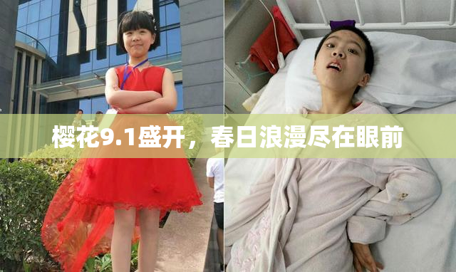 樱花9.1盛开，春日浪漫尽在眼前