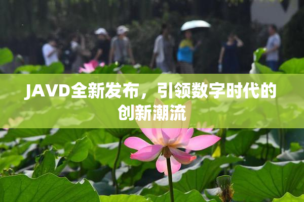 JAVD全新发布，引领数字时代的创新潮流