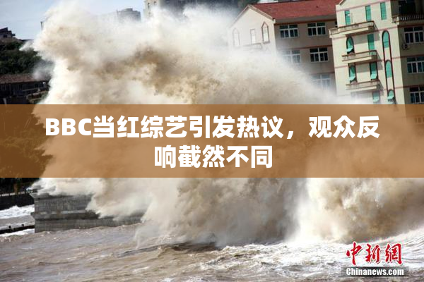 BBC当红综艺引发热议，观众反响截然不同