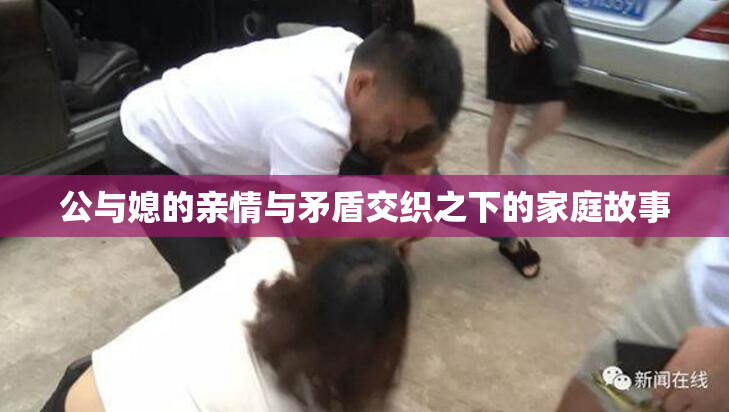 公与媳的亲情与矛盾交织之下的家庭故事
