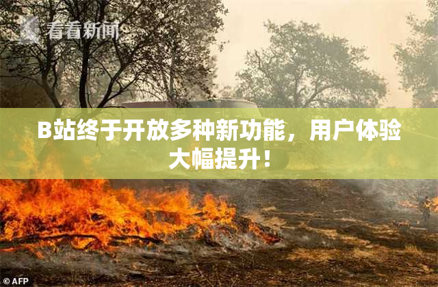 B站终于开放多种新功能，用户体验大幅提升！