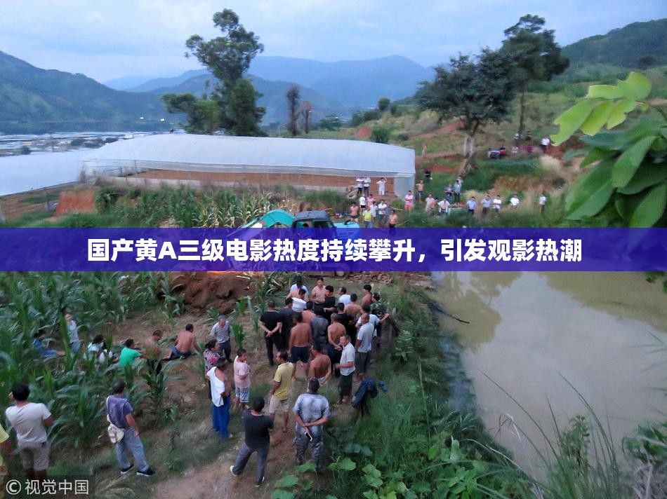 国产黄A三级电影热度持续攀升，引发观影热潮