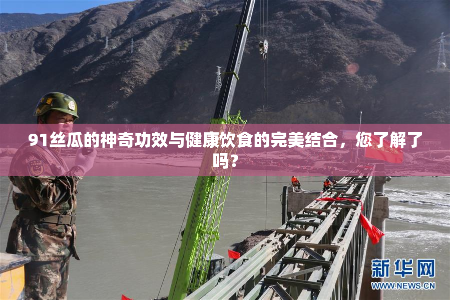 91丝瓜的神奇功效与健康饮食的完美结合，您了解了吗？
