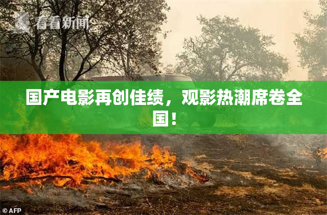 国产电影再创佳绩，观影热潮席卷全国！