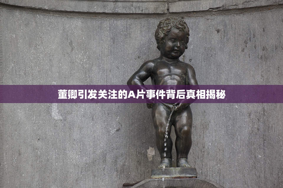 董卿引发关注的A片事件背后真相揭秘
