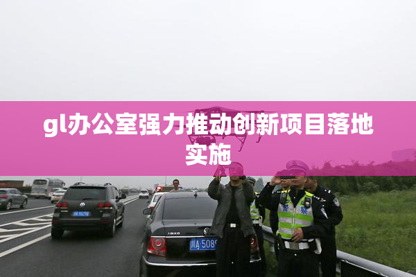gl办公室强力推动创新项目落地实施