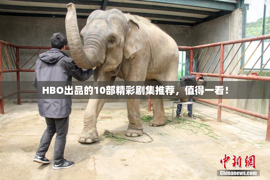 HBO出品的10部精彩剧集推荐，值得一看！