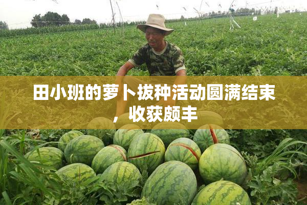 田小班的萝卜拔种活动圆满结束，收获颇丰